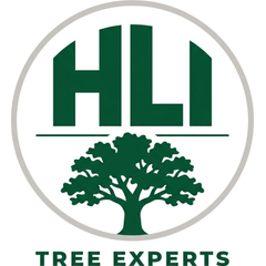 HLI Tree Experts logo