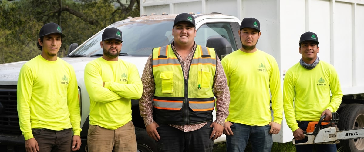 Victor V. and his crew at TreeEx Tree Experts
